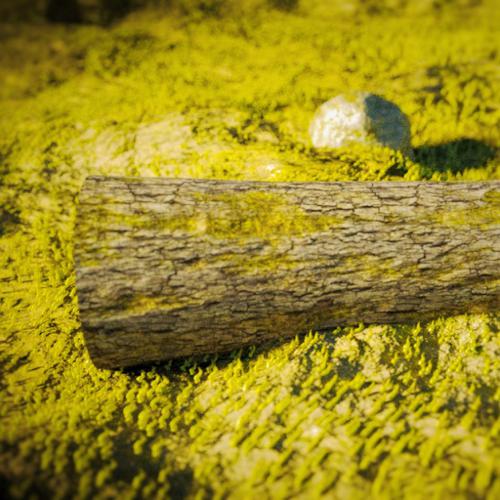 Grass, Log, and Rock preview image